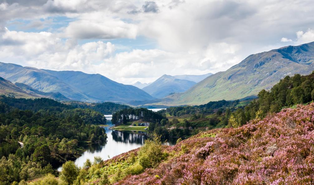 Whitehurst - Simon - Adobe Stock - Au cur des Highlands se cache une vallée exceptionnelle, Glen Affric en Ecosse. - Les routes enchantées d'Ecosse - 2