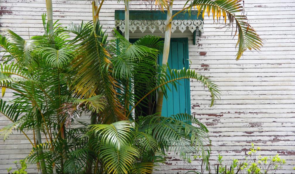 Graphithèque - stock.adobe.com - Une case à Hell-Bourg, La Réunion - Jardin tropical de l'océan Indien - 9