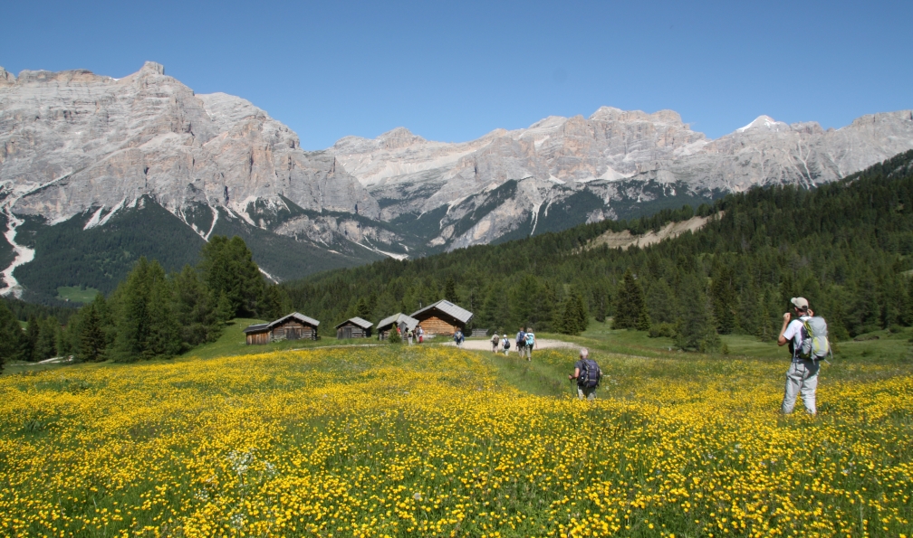 Entre Pralongia et San Cassiano, Piz dles Conturines à Zimes de Fanes, Val Badia, Sud-Tyrol, Dolomites, Alpes Italie. - A la découverte des panoramas dolomitiques - 3