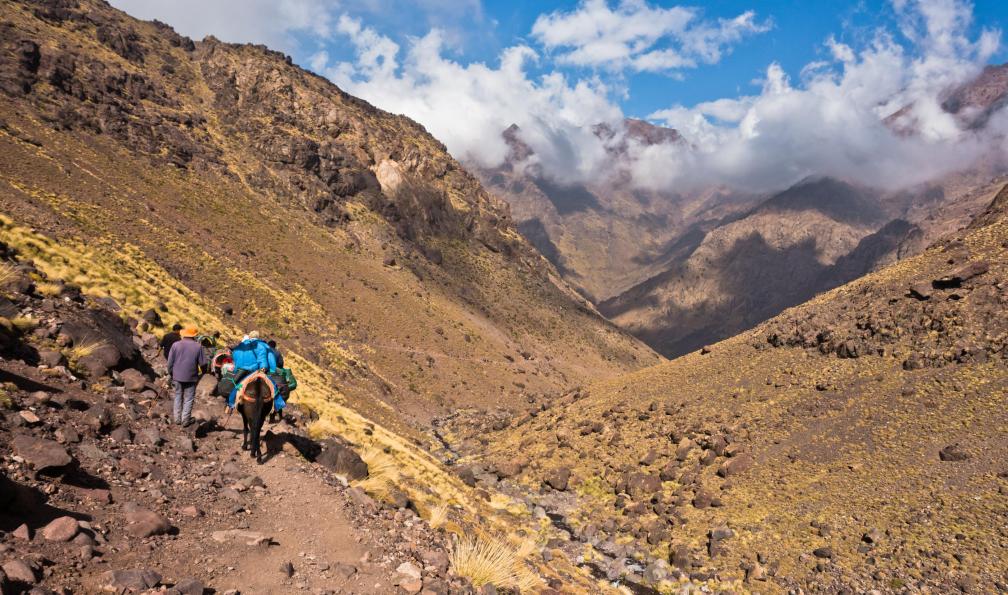 Banet  -  shutterstock -  Randonneurs et mule dans le parc national du Toubkal, Maroc - Objectif Toubkal - 1