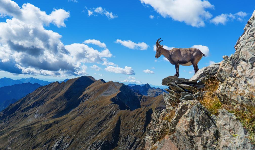 alpes-francaises-randonnees-queyras