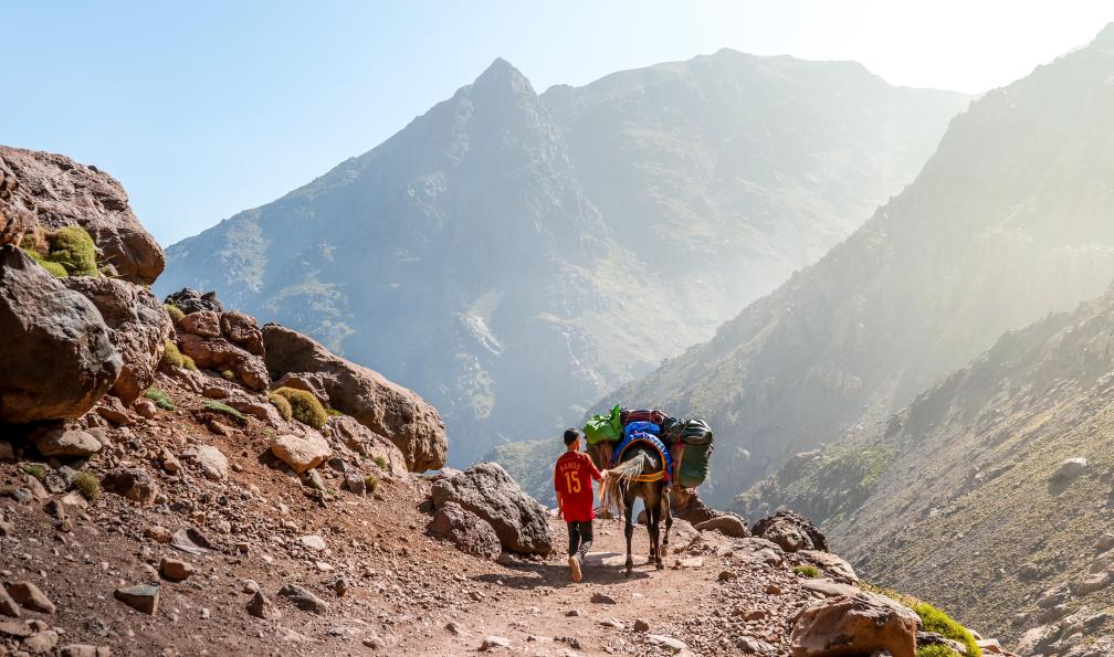 Trek - Toubkal, mon premier 4000