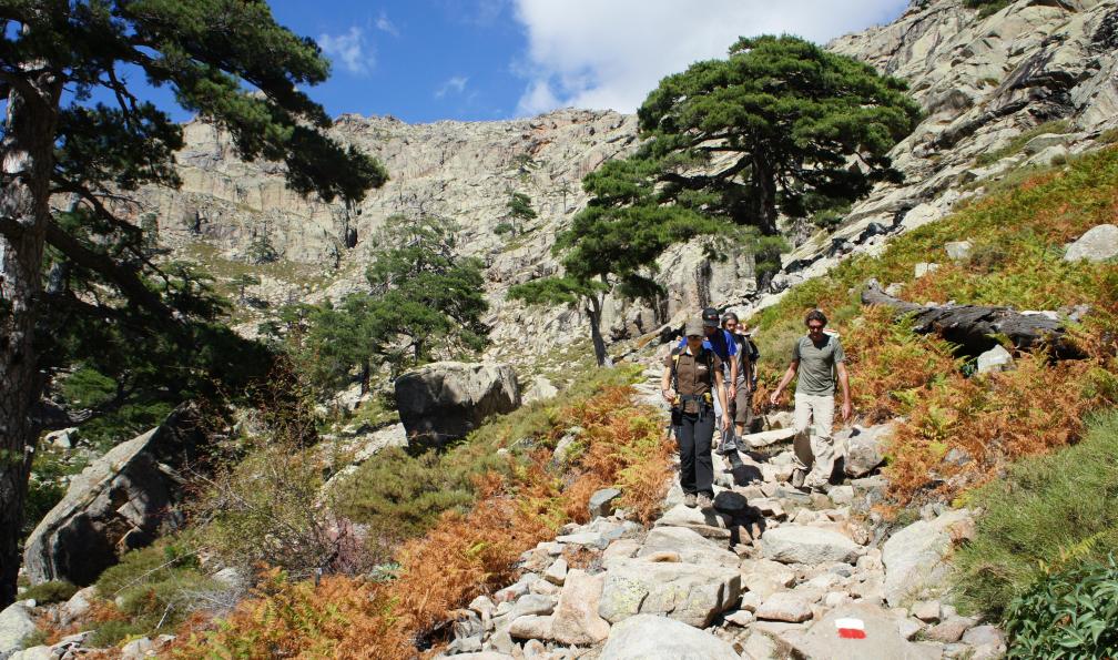 Vallée du Golo, Corse. - Le GR20 Nord, de Calenzana à Vizzavona - 5