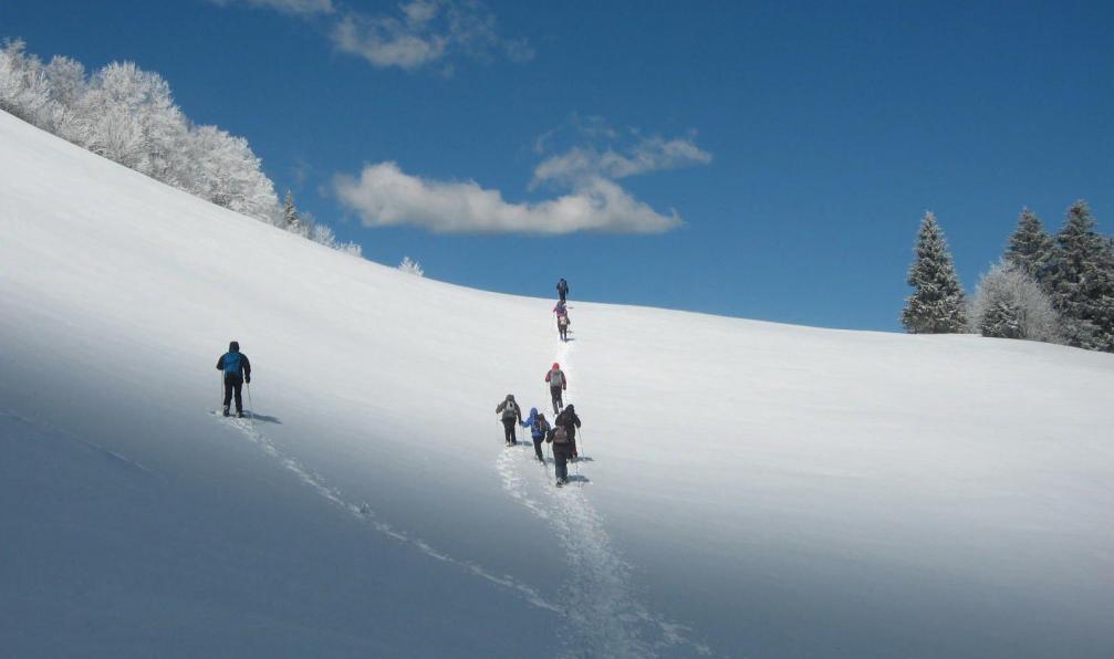 Arcanson -  Raquettes dans le Vercors, France - Raquettes et détente dans le Vercors - 2