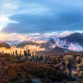 trek colombie