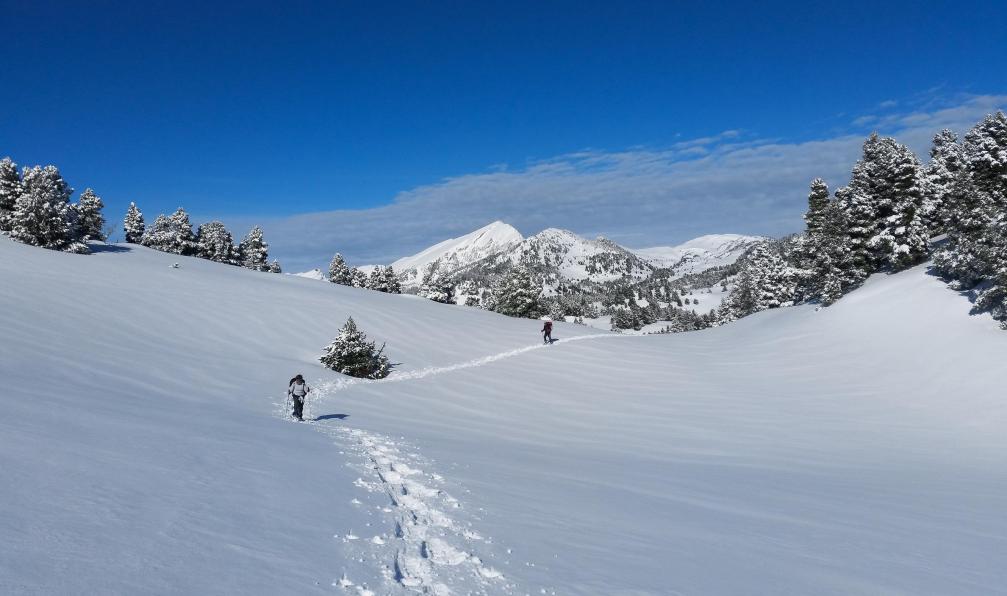 Le Vercors sauvage à raquettes