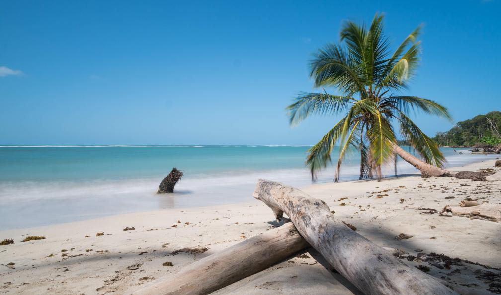 NadineOtt - AdobeStock - Plage à Cahuita, Costa Rica - A la recherche du mono titi - 8