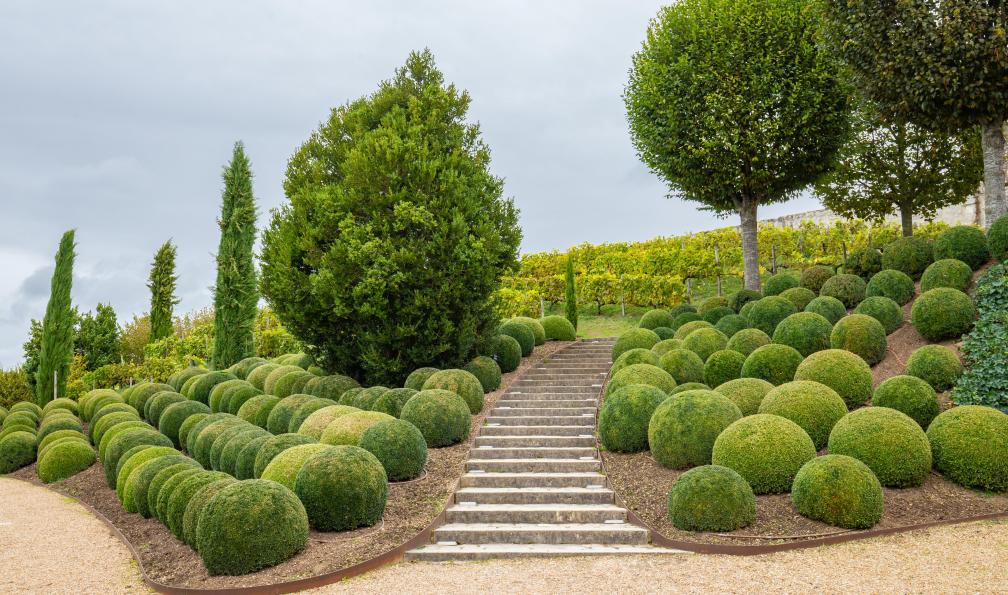 Weges -  Hilda -  Adobe stock306974293 -  Jardin du château d'Amboise, France - La Loire à vélo en famille: de Blois à Amboise - 4