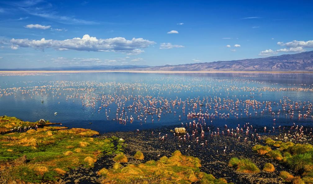 tanzanie-parc-tanzanie