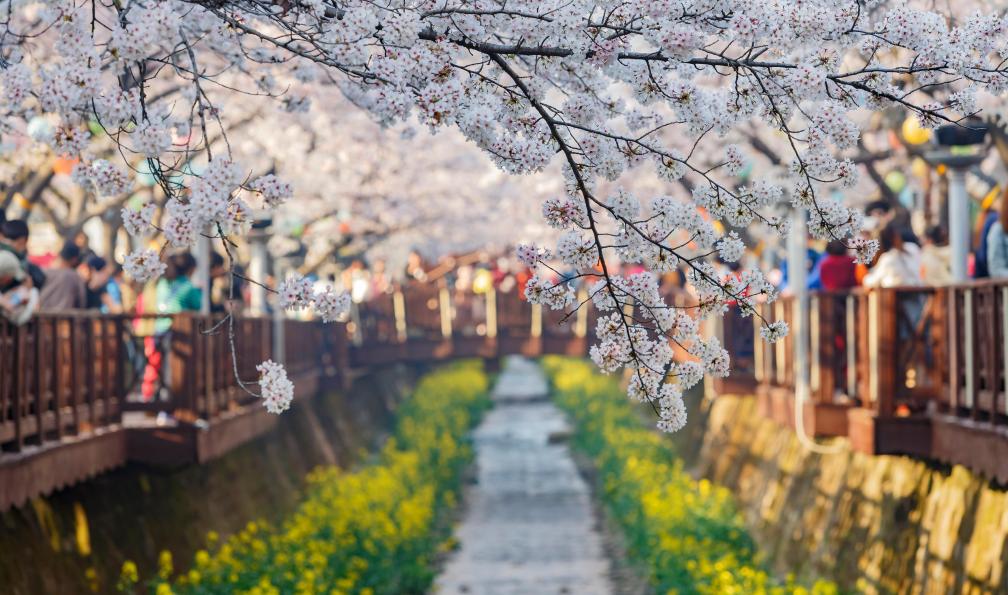 japon-les-incontournables-du-japon