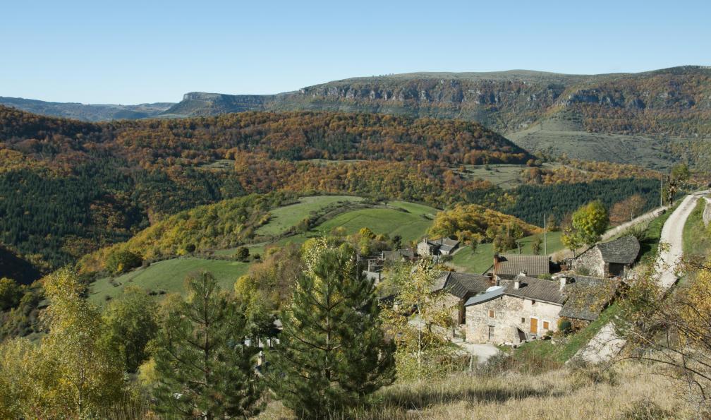 legna69 -  istock -  mont aigoual - cévennes - GTMC - Des Cévennes à la mer en VTT électrique - 4
