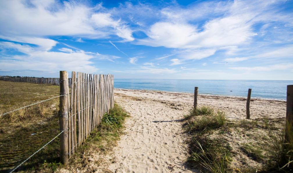 Elain - Jérémy - Adobe Stock - Plages bretonnes Presqu'île de Rhuys, Bretagne - Escapade à vélo dans le golfe du Morbihan - 6