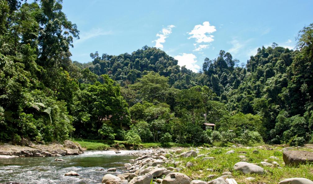 Rivière, Bukit Lawang, Gunung Leuser, Sumatra, Indonésie. - Sumatra : Orang-Outan et volcan - 1