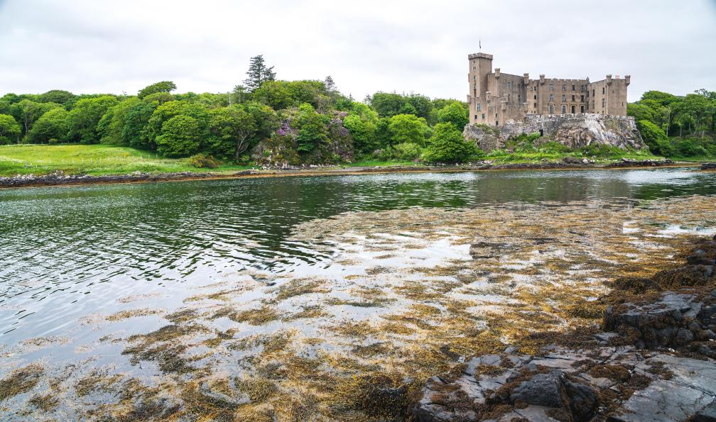 stockme - Adobe stock - Le château de Dunvegan, Écosse - Ecosse sauvage : des Highlands à l'île de Skye - 7