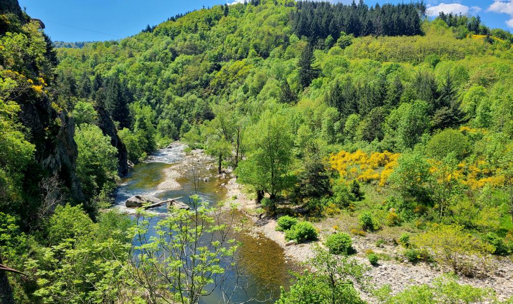 Aurélie Mansiot - Rivière au coeur d'une fôret durant un voyage en famille à velo sur la via dolce, Massif central, Ardèche, France - La Dolce Via à vélo en famille - 4