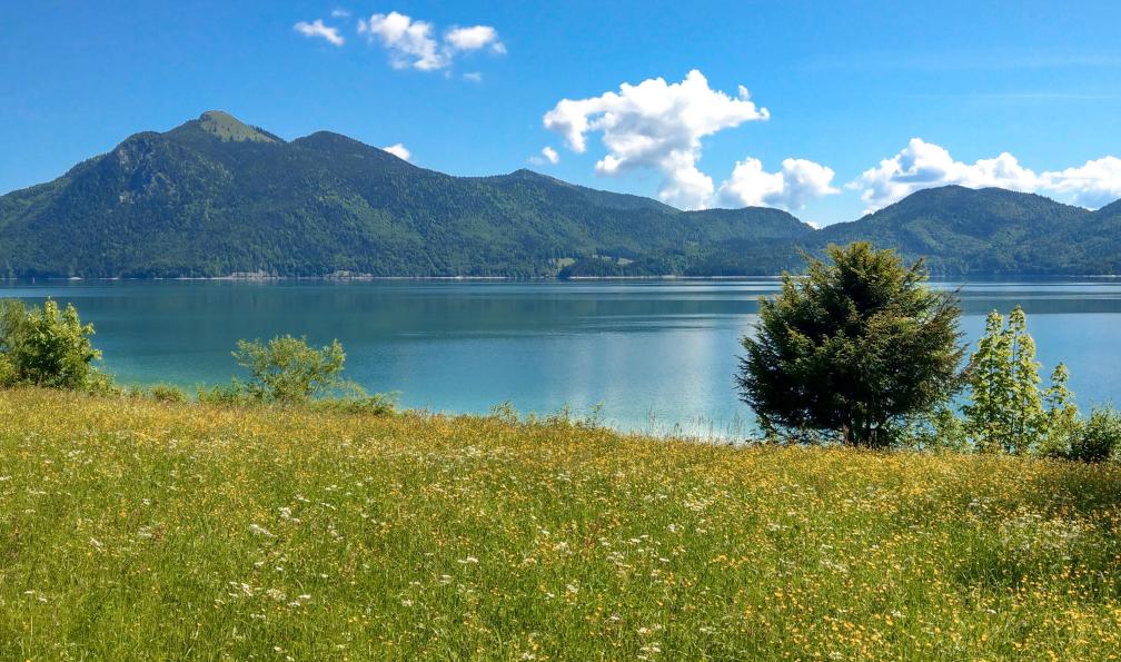 Eurohike - Paisible balade autour du lac Walchensee ceinturé de montagnes, un bel après-midi ensoleillé. - Des lacs bavarois à la Zugspitze - 6