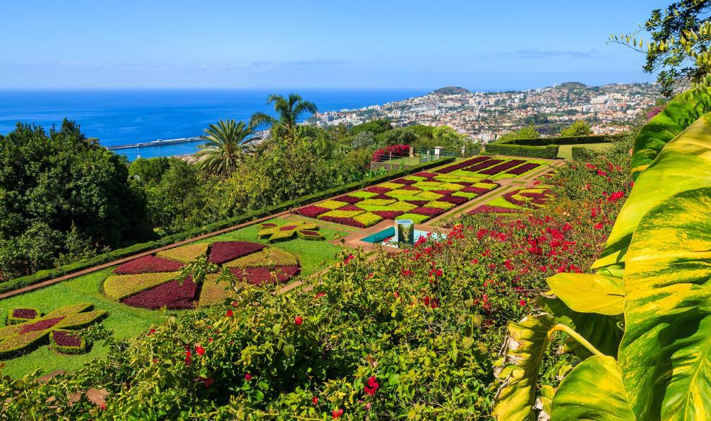 pkazmierczak -  istock -  Jardin botanique de Funchal, Madère, Portugal - Entre terre et mer : Madère à vélo  - 2