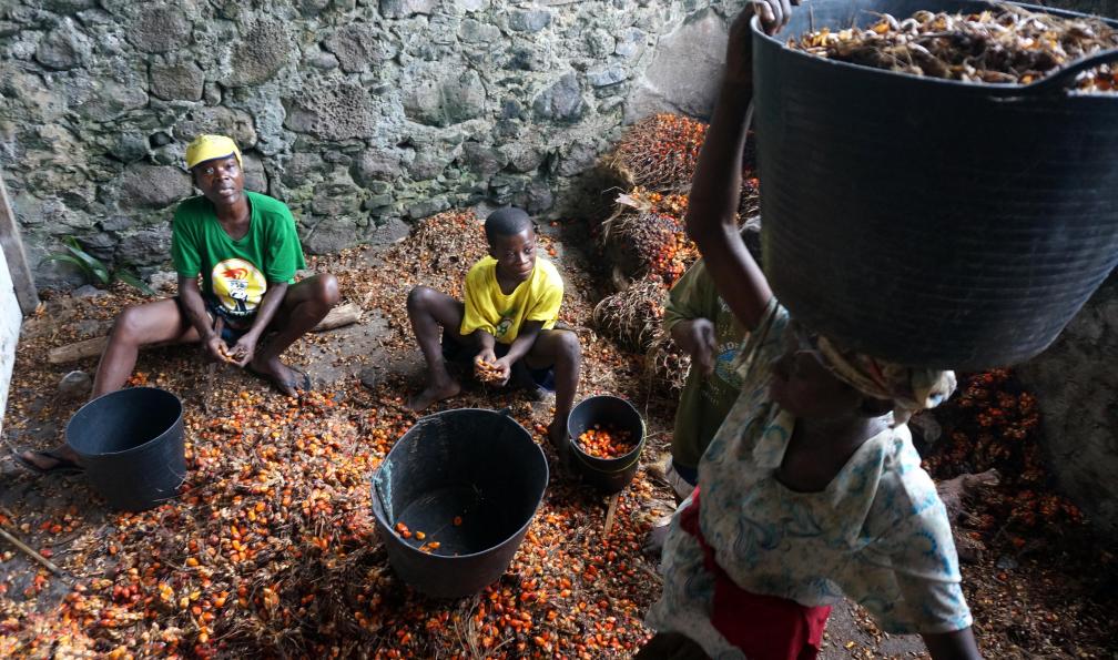 Hommes triant des graines, Sao Tomé. - L'île cacao - 5