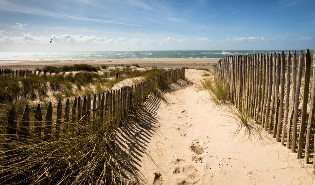 Roland - Abel - Adobe Stock - Dunes et mer au Carteret, Normandie, France - Tour du Cotentin : Cap de la Hague - 5