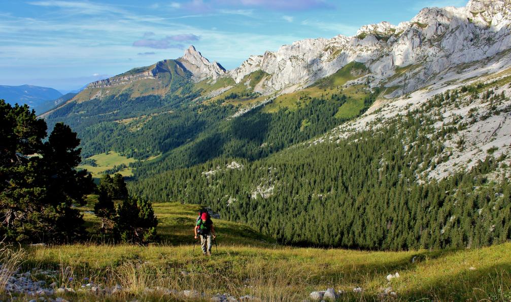 gaelj - stock.adobe.com - Randonneur sur un plateau calacire, Vercors, France - Crêtes et sommets du Vercors - 1