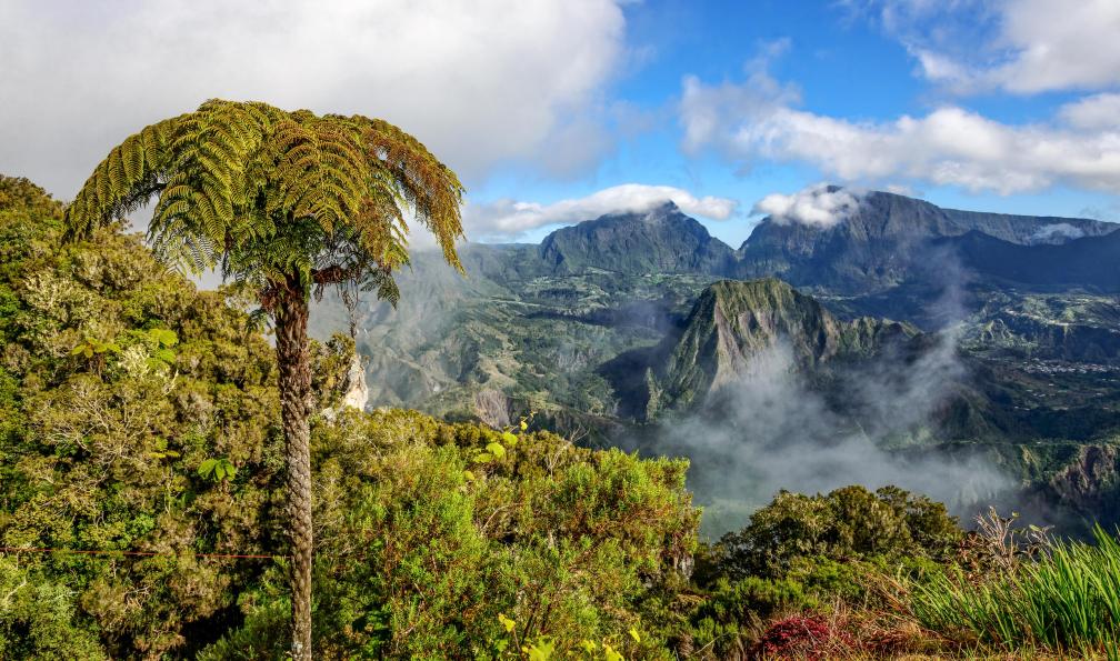 bjul  -  shutterstock -  Cirque de Cilaos, île de la Réunion - De cirques en cimes  - 4