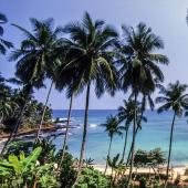 randonnee île cacao