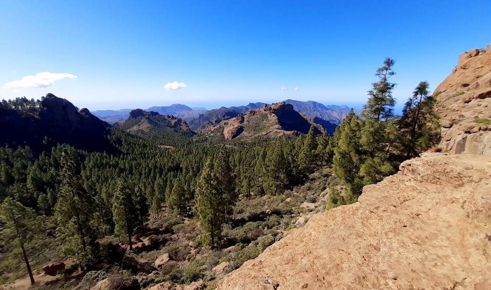 Mandou -  Alicia -  Roque Nublo, Gran Canaria - Les richesses de Gran Canaria - 7