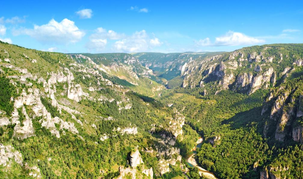 Lamax - Stock Adobe - Large vue sur les gorges du Tarn, Massif Centrale, France - Gorges du Tarn et de la Jonte - 9