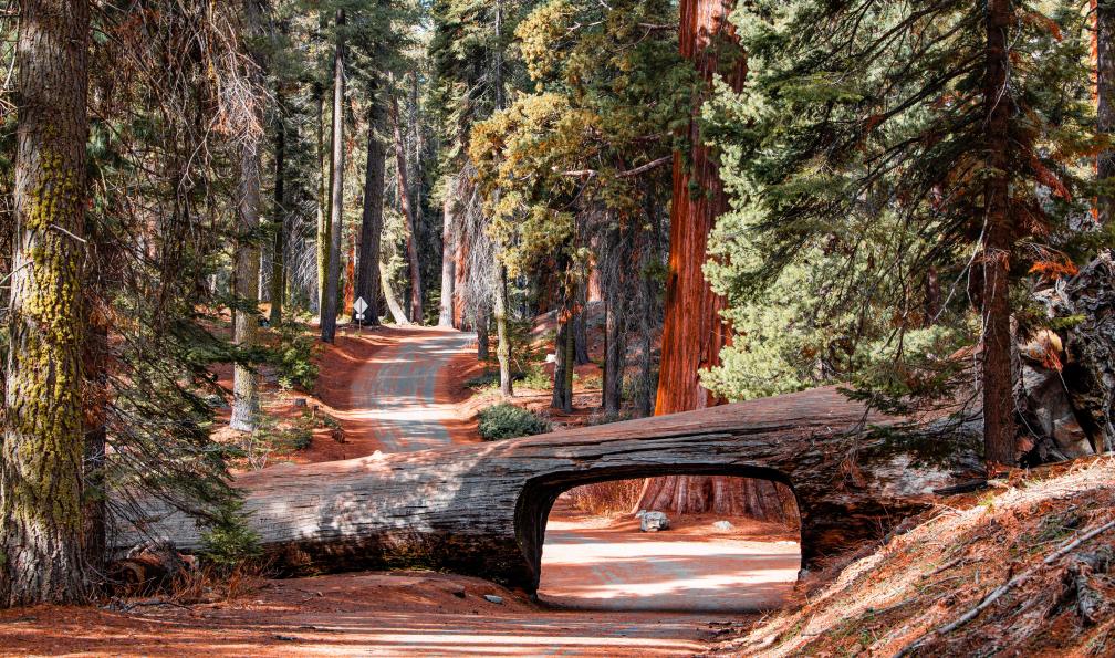 ouest-americain-roadtrip-en-californie