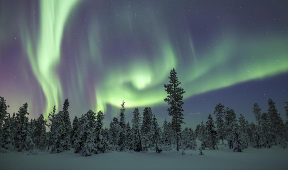RainbowJoe -  Istock -  Aurores boréales au dessus de la forêt gelée près de Kiruna;Suède - Kungsleden : La voie royale à raquettes - 6