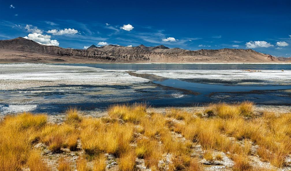 f9photos -  istock -  Lac salé de TSO Kar, Ladakh, Inde - Merveilles du Ladakh sur mesure - 2