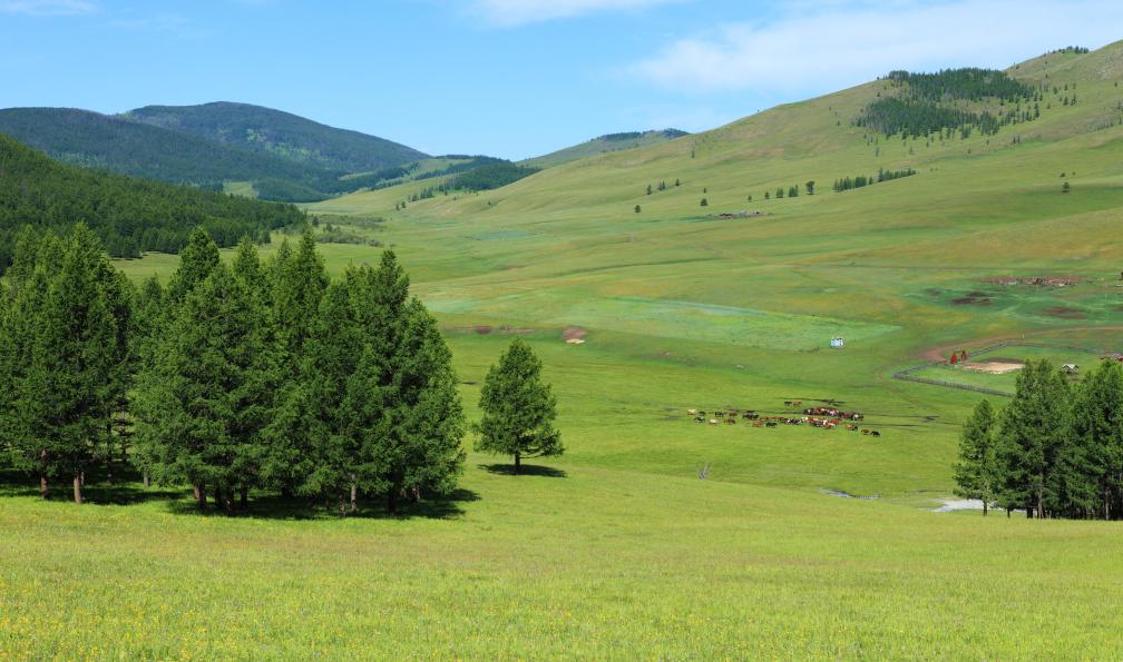 heckepics -  Istock -  Troupeaux en paturage dans la vallée de l'Orkhon;Mongolie - Dunes et steppes mongoles - 2
