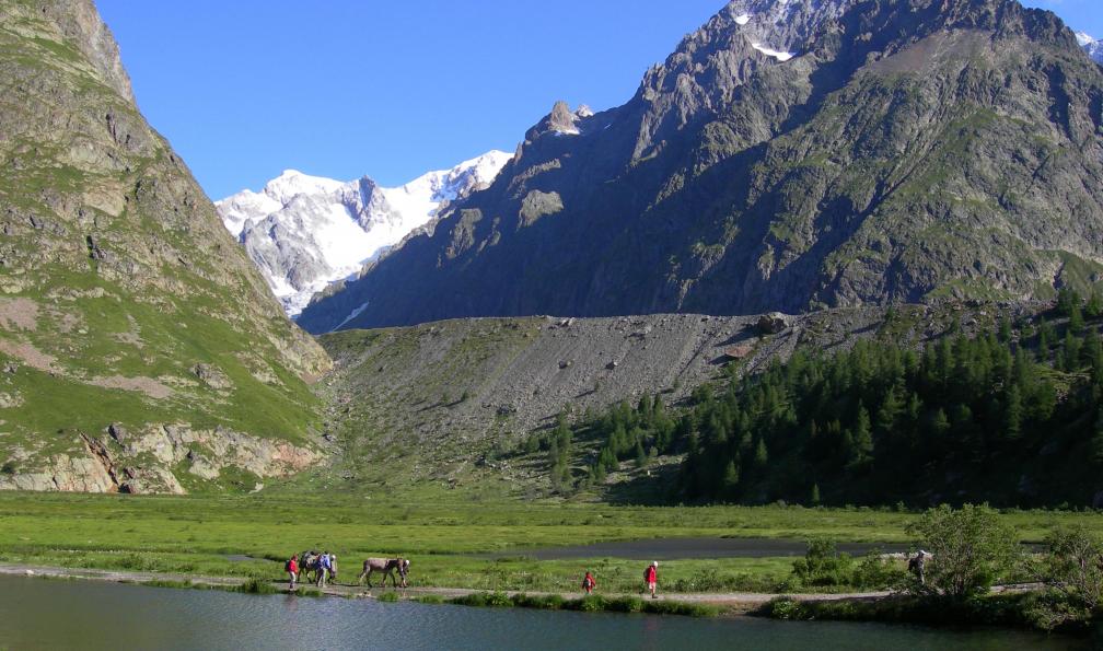 Famille avec ânes au bord du lac de Combal, Bionnassay à l'arrière-plan, Mont-Blanc, val d'Aoste, Alpes Italie. - Le tour du Mont Blanc avec un âne (1/2) - 4