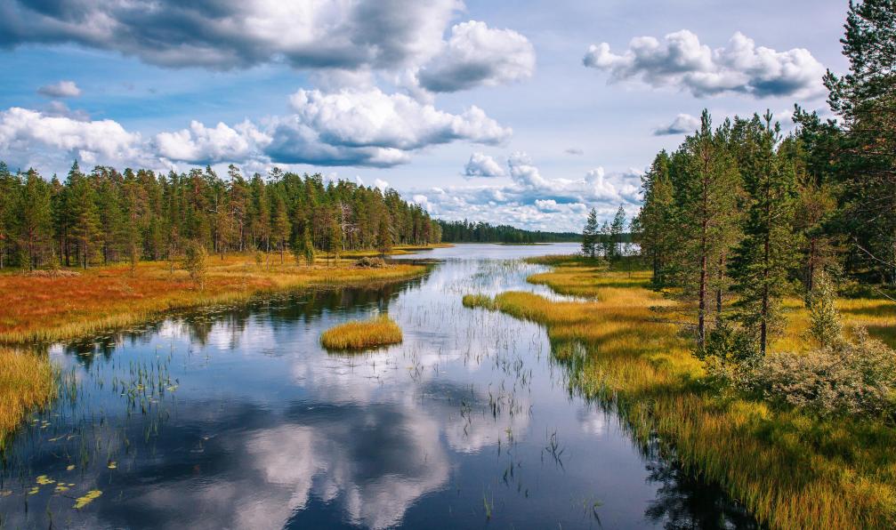 wmaster890 -  istock -  Lac et forêt en Suède - Trek sur la mythique Kungsleden - 2