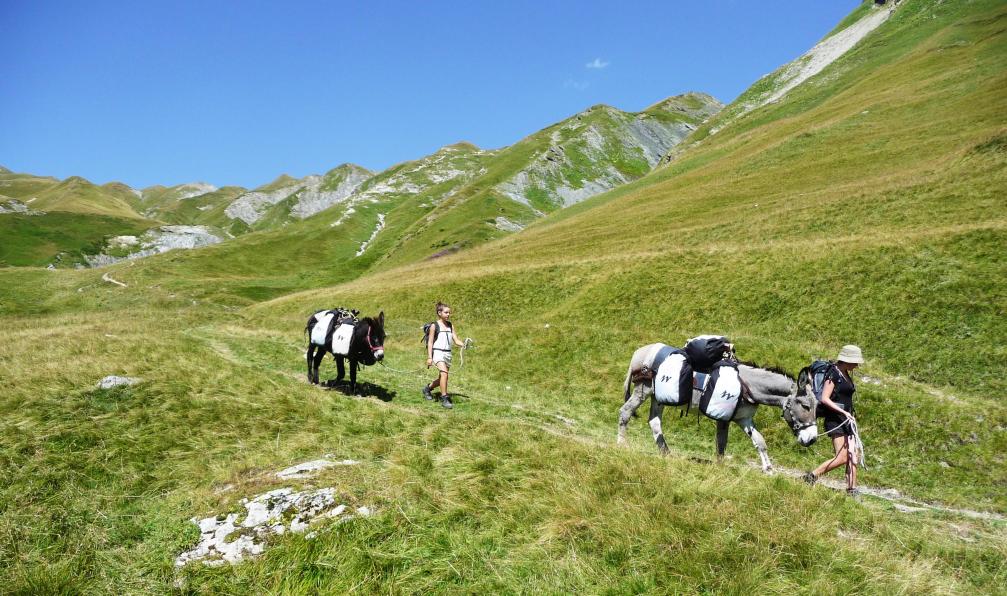 Famille avec ânes, Val Veny, massif du Mont-Blanc, Alpes Italie. - Le tour du Mont Blanc avec un âne (1/2) - 2