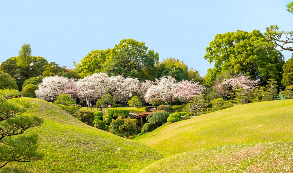 travelview - Adobe stock - Le parc Suizenji Jojuen à Kumamoto, près du château, créé par Hosokawa Tadatoshi (1586-1641), qui a pris le contrôle du domaine de Higo (Kumamoto) en 1632, Japon  - De l'île de Kyushu au sanctuaire de Nikko - 5