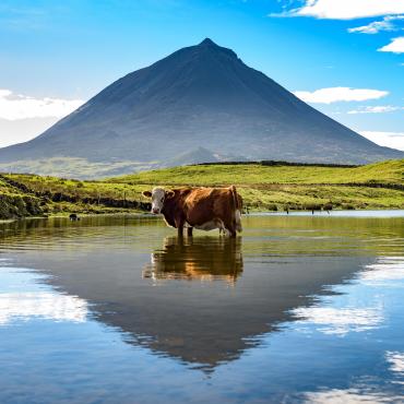 trek açores