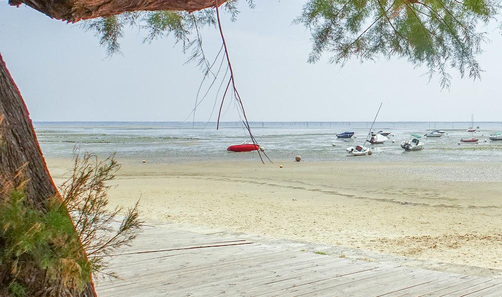 Le tour du bassin d'Arcachon à vélo, France - Le tour du bassin d'Arcachon à vélo - 6