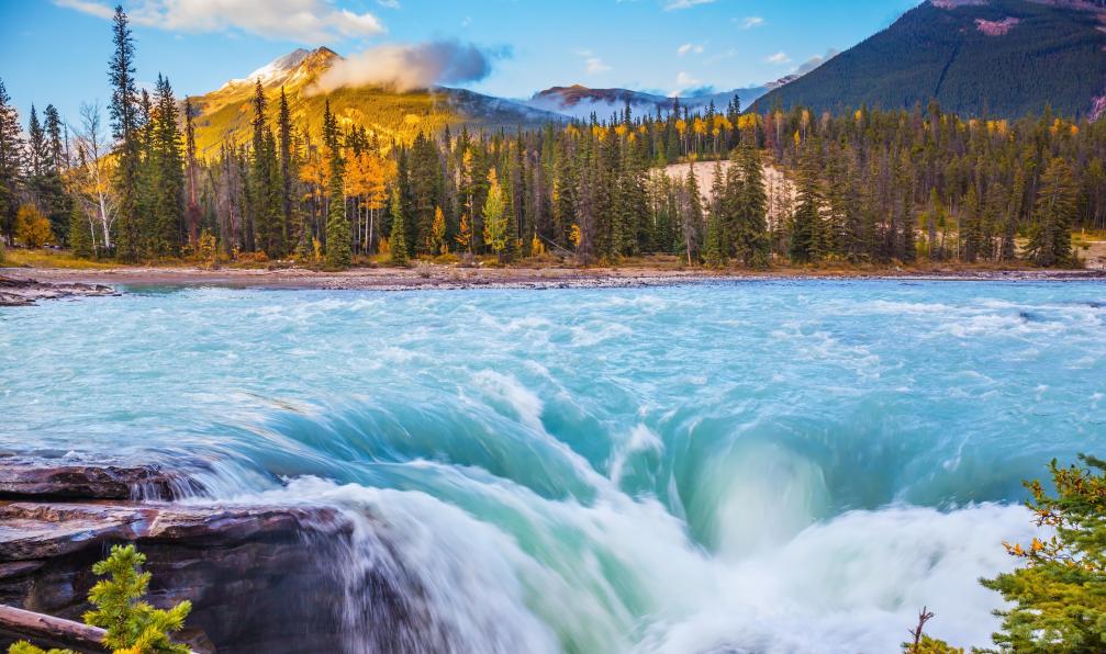 kavram -  Istock -  Chute de Athabasca dans le Parc National de Jasper;Canada - Banff, Yoho, Jasper : Rocheuses grandeur nature - 2