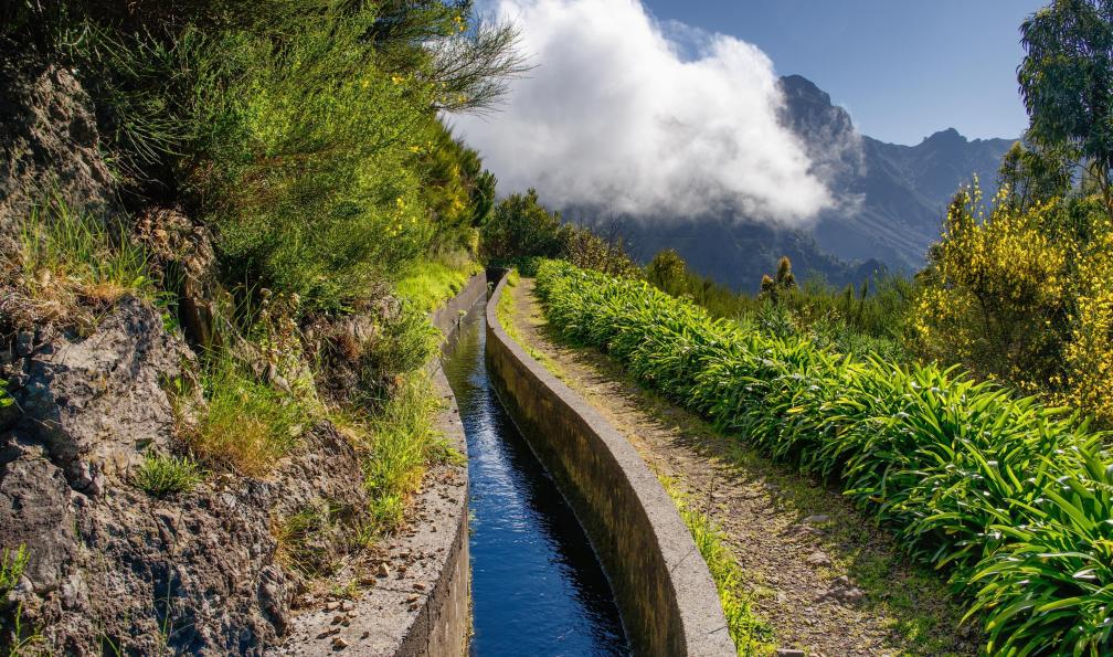 Martin - AdobeStock - Chemin longeant une levada dans les montagnes de Madère - Cap sur les hauteurs de Madère - 8