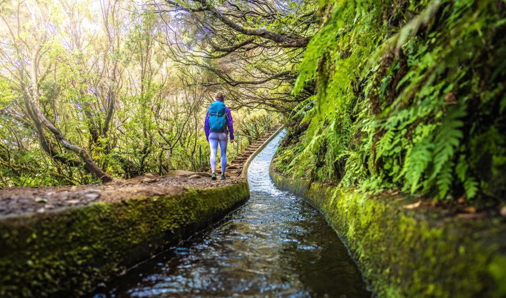 Michael  - Adobe Stock - sur un sentier qui longe  un canal d'eau douce sur le sentier des 25 cascades de Fontes, île de Madère, Portugal - Le grand tour de Madère - 3