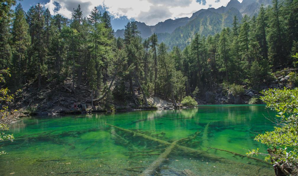 Taravella - Lina - Adobe stock - Lac Vert dans la vallée Étroite en été, Névache, Hautes-Alpes, France - Mont Thabor et sommets de la Clarée - 6