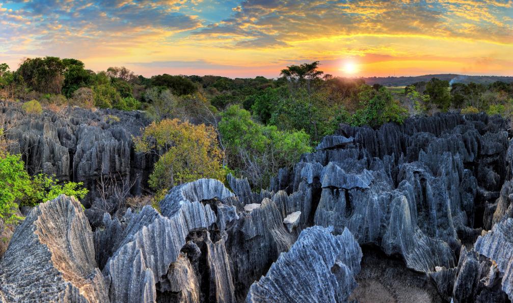 madagascar-ecrins-du-nord