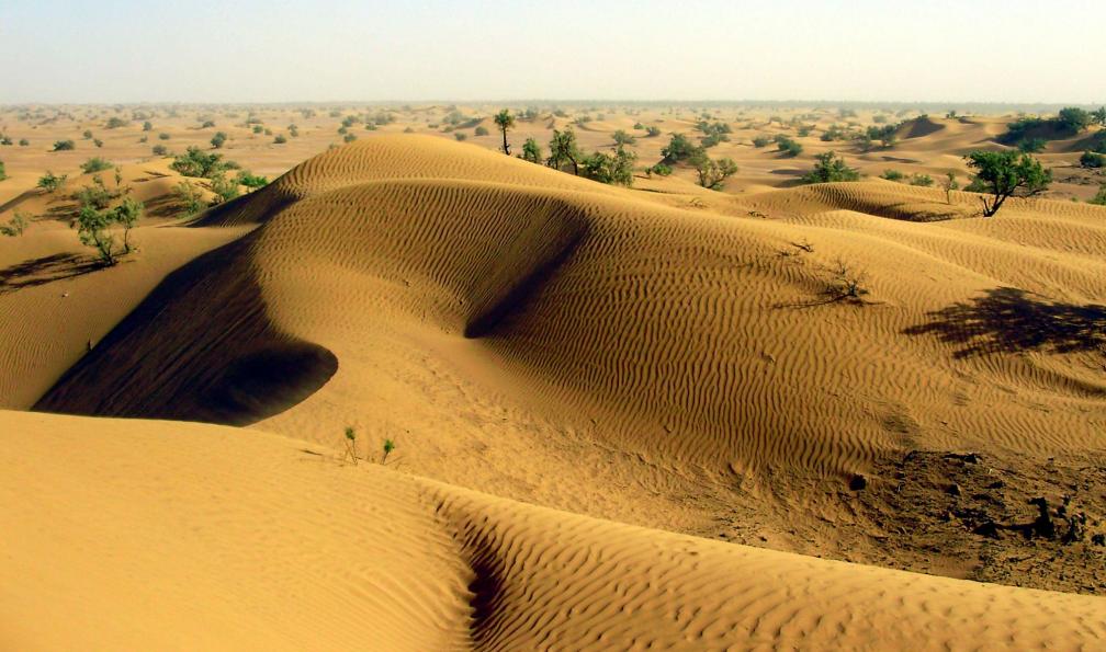 Image Le petit prince