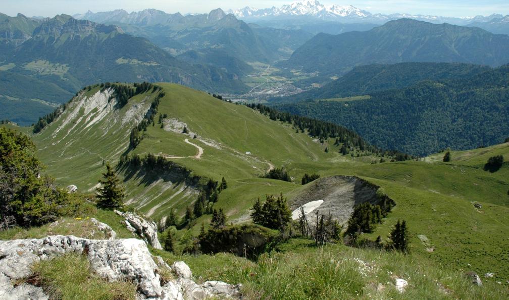 Mont-Blanc depuis la montagne du Charbon, Bauges, Alpes France. - Mes premiers pas dans les Bauges avec un âne - 3