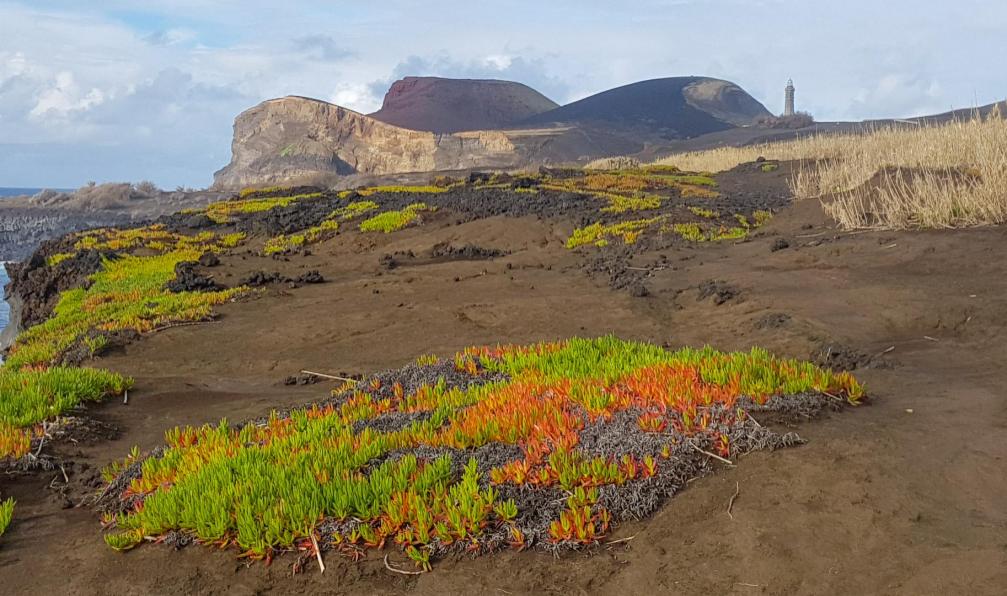 David NOGUES -  Acores : Faial et Pico à vélo T6W2 - Acores : Faial et Pico à vélo  - 8
