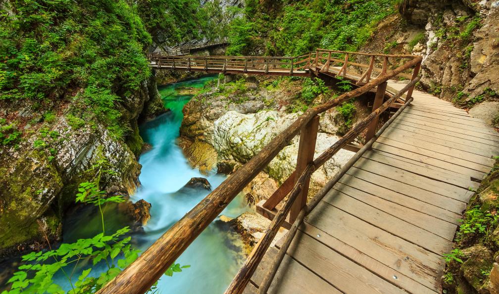 Janoka82 -  Istock -  Pont de bois au dessus du fleuve vert dans les gorges de Vintgar;Slovénie - Les incontournables de la Slovénie - 5