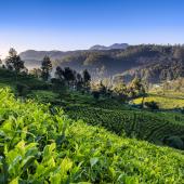la traversée du sri lanka