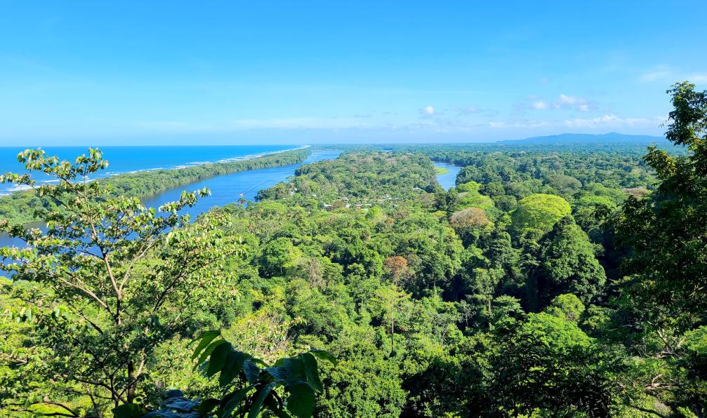 Salin - Sophie - Cerro Tortugero, Costa Rica - A la recherche du mono titi - 6