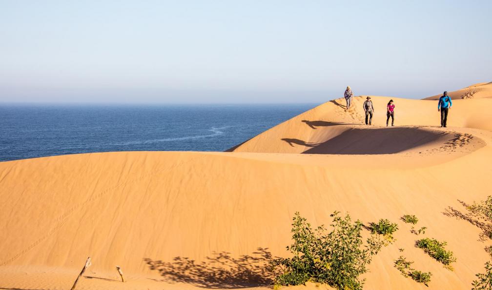 Arthur Ghilini -  côte atlantique entre Essaouira et Agadir, Maroc - Les chameaux de l'Atlantique - 3